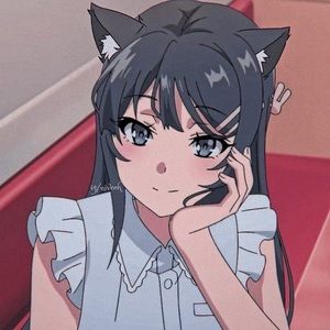 Meet your Posher, Ally